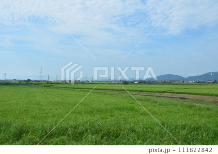 長崎本線佐賀駅から唐津線多久駅までの車窓風景 111822842