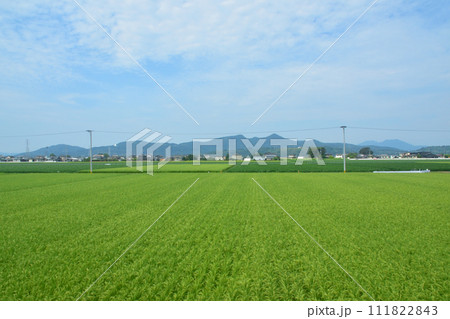 長崎本線佐賀駅から唐津線多久駅までの車窓風景 111822843