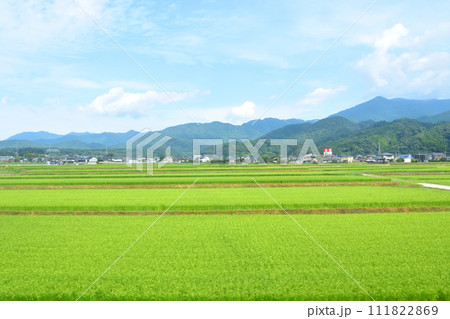 長崎本線佐賀駅から唐津線多久駅までの車窓風景 長崎本線佐賀駅から唐津線多久駅までの車窓風景 111822869