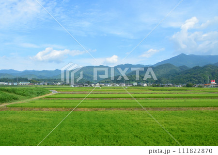 長崎本線佐賀駅から唐津線多久駅までの車窓風景 長崎本線佐賀駅から唐津線多久駅までの車窓風景 111822870