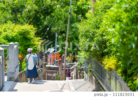 京都府　京都市　伏見稲荷神社　関西　近畿地方　鳥居　夏　観光　神社　仏閣　寺　伝統文化　赤　参拝 111823031