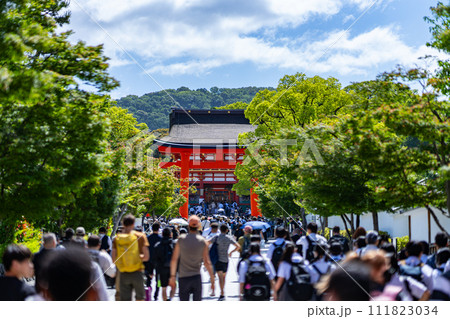 京都府 京都市 伏見稲荷神社 関西 近畿地方 鳥居 夏 観光 神社 仏閣 寺 伝統文化 赤 参拝 京都府 京都市 伏見稲荷神社 関西 近畿地方 鳥居 夏 観光 神社 仏閣 寺 伝統文化 赤 参拝 111823034