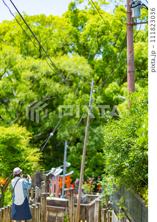 京都府 京都市 伏見稲荷神社 関西 近畿地方 鳥居 夏 観光 神社 仏閣 寺 伝統文化 赤 参拝 京都府 京都市 伏見稲荷神社 関西 近畿地方 鳥居 夏 観光 神社 仏閣 寺 伝統文化 赤 参拝 111823036