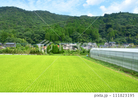 唐津線多久駅から西唐津駅までの車窓風景 唐津線多久駅から西唐津駅までの車窓風景 111823195
