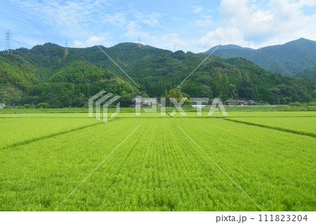 唐津線多久駅から西唐津駅までの車窓風景 111823204