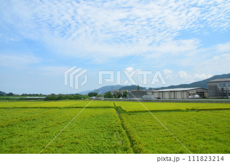 唐津線多久駅から西唐津駅までの車窓風景 唐津線多久駅から西唐津駅までの車窓風景 111823214