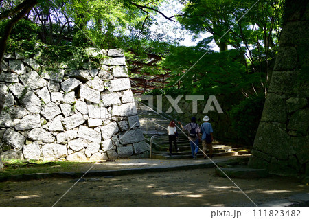 佐賀県唐津市唐津城とその周辺風景 111823482