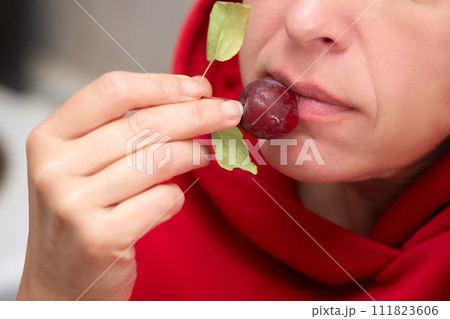 A woman, whose face is not visible, eats a small red wild apple. A woman, whose face is not visible, eats a small red wild apple. 111823606