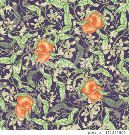 Watercolor seamless pattern with orange branches, on a purple background, vintage, contrasting, voluminous. Botanical illustration for fabric textiles. Watercolor seamless pattern with orange branches, on a purple background, vintage, contrasting, voluminous. Botanical illustration for fabric textiles. 111823901