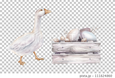 Cute watercolor illustration wooden box made of white gray with chicken and quail eggs and willow branches and white goose. wooden boards. Hand drawn easter illustration isolated on background. Cute watercolor illustration wooden box made of white gray with chicken and quail eggs and willow branches and white goose. wooden boards. Hand drawn easter illustration isolated on background. 111824860