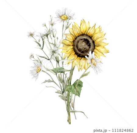 Watercolor bouquet of daisy and sunflower flowers. Watercolor hand drawing illustration on isolated white background. White and yellow botanical plants. Composition from summer meadow, forest flowers. Watercolor bouquet of daisy and sunflower flowers. Watercolor hand drawing illustration on isolated white background. White and yellow botanical plants. Composition from summer meadow, forest flowers. 111824862