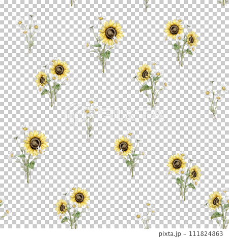 Watercolor seamless pattern with bouquet of daisy and sunflower flowers. Watercolor hand drawing illustration on isolated white background. White and yellow summer botanical floral plants. Watercolor seamless pattern with bouquet of daisy and sunflower flowers. Watercolor hand drawing illustration on isolated white background. White and yellow summer botanical floral plants. 111824863