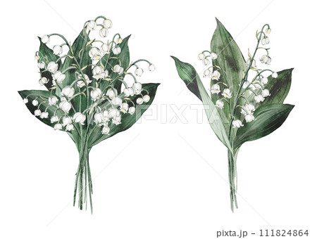 Watercolor flower arrangement set with white bouquets of delicate spring lilies of the valley. Design for printing postcards, invitations to weddings, birthdays, spring and summer holidays Watercolor flower arrangement set with white bouquets of delicate spring lilies of the valley. Design for printing postcards, invitations to weddings, birthdays, spring and summer holidays 111824864
