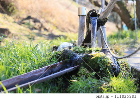 宮田の湧水 111825583