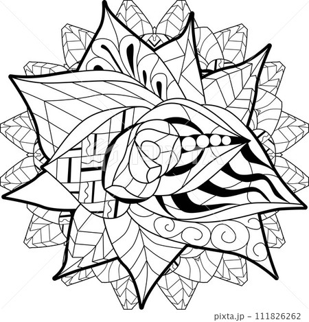 Succulent houseplant on mandala. Print shape home plant urban tropical jungle decor. Succulent houseplant on mandala. Print shape home plant urban tropical jungle decor. 111826262