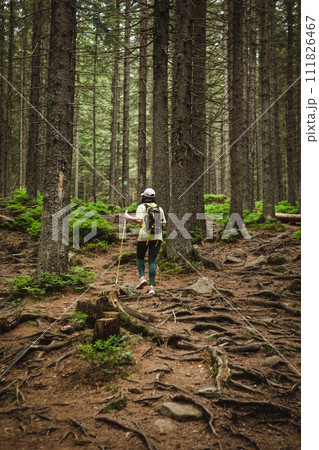 Woman in the mountains among the trees with a backpack Woman in the mountains among the trees with a backpack 111826467