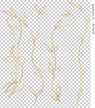 Hand drawn twigs with leaves, golden outlines, isolated illustration, wedding stationery element 111826800
