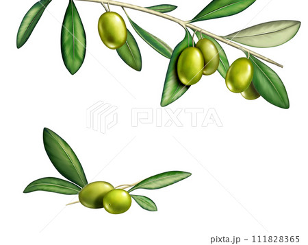 Olives 111828365