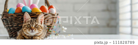 Fluffy Cat with Bunny Ears and Easter Eggs 111828789