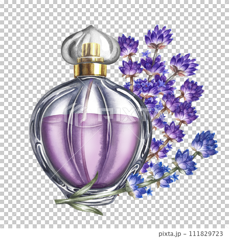 A perfume bottle made of transparent glass with lavender flowers. Vintage purple perfume with lavender scent. A hand-drawn watercolor illustration. Isolate her. For packaging, postcards and labels. 111829723