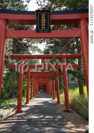 札幌伏見稲荷神社の朱色の連続した鳥居 札幌伏見稲荷神社の朱色の連続した鳥居 111829807