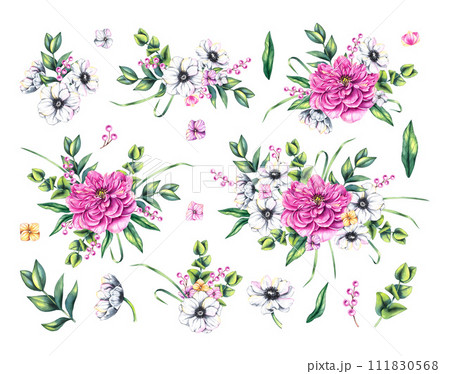 Watercolor set of bouquets of peonies and anemones Watercolor set of bouquets of peonies and anemones 111830568