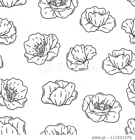 Pattern with poppies flowers. Beautiful decorative plants. Pattern with poppies flowers. Beautiful decorative plants. 111831378