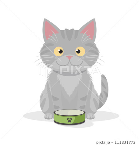 Vector Flat Gray Tabby Cat with Green Pets Bowl. Cartoon Cat Icon Isolated. Black Cute and Funny Cat in Front View 111831772