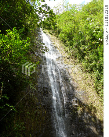 water runs down Manoa Falls waterfall 111832219