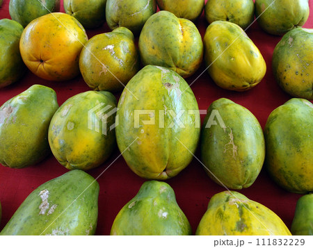 Rows of Hawaiian papayas on red cloth Rows of Hawaiian papayas on red cloth 111832229