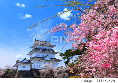 【神奈川県】晴天の小田原城と満開の枝垂れ桜 【神奈川県】晴天の小田原城と満開の枝垂れ桜 111832579