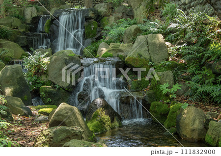 戸越公園　東京都品川区豊町 111832900
