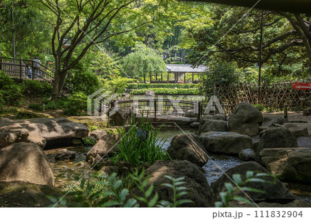 戸越公園　東京都品川区豊町 111832904