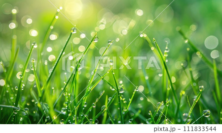 Lovely morning dew drops glistening on the grass, Ai Generated. 111833544