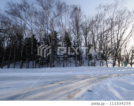 中標津町 丸山公園 中標津町 丸山公園 111834259