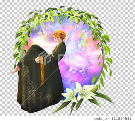 幻想的な妖精 111834632