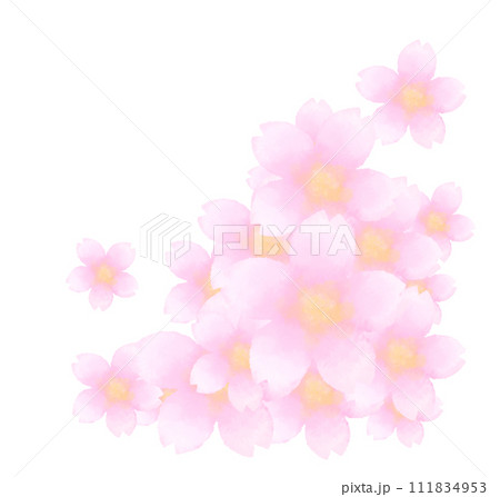 水彩風のにじみのある桜の手描きイラスト(集合) 111834953