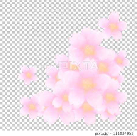 水彩風のにじみのある桜の手描きイラスト(集合) 111834953
