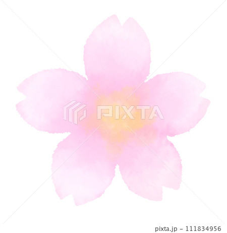 水彩風のにじみのある桜の手描きイラスト 111834956