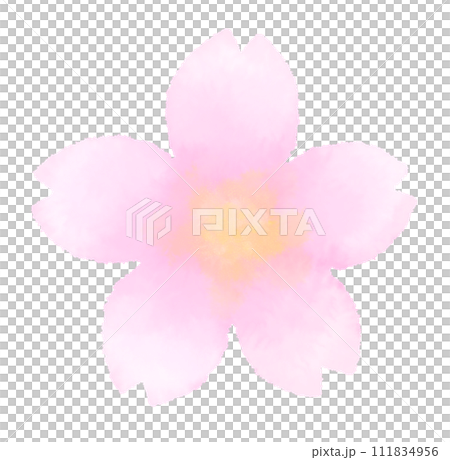 水彩風のにじみのある桜の手描きイラスト 111834956