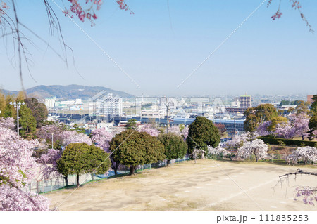 春の丘から見渡す住宅街と東海道新幹線 111835253