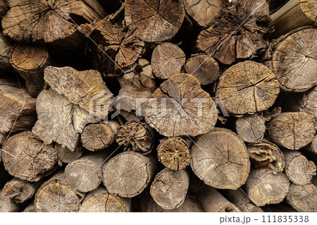 Background of cut logs. Pile of nature sawn wood trees texture trunks, timber background. Wood industry Decoration of cutting tree round annual rings with stripes in various size 111835338