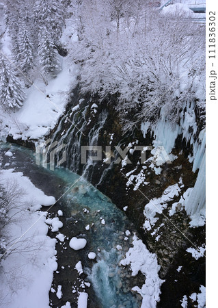 白ひげの滝 111836302