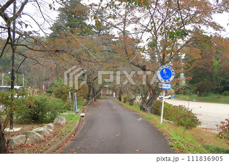 乙字ヶ滝公園の景観 乙字ヶ滝公園の景観 111836905