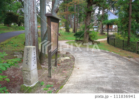 乙字ヶ滝公園の景観 乙字ヶ滝公園の景観 111836941