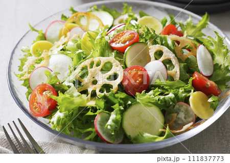 彩の良い野菜サラダ 彩の良い野菜サラダ 111837773