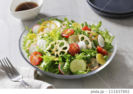 野菜サラダ 野菜サラダ 111837802