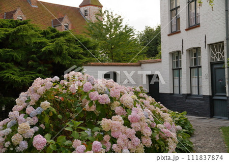 西ヨーロッパのベルギー　ブルージュ（ブルッヘ）の世界文化遺産「フランドル地方のベギン会修道院」の風景 111837874