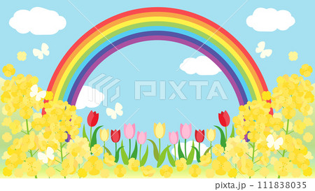 菜の花とチューリップと青空と虹の春の丘のカード　アスペクト比16：9バージョン 111838035