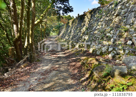 兵庫県豊岡市出石「有子山城」の石垣と曲輪 兵庫県豊岡市出石「有子山城」の石垣と曲輪 111838793